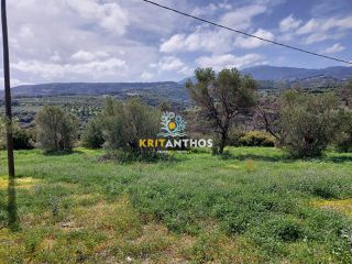 Οικόπεδο 20.000 τ.μ. για πώληση, Ν. Ρεθύμνου, Ρέθυμνο-thumb-16