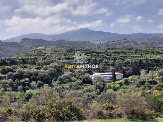 Οικόπεδο 20.000 τ.μ. για πώληση, Ν. Ρεθύμνου, Ρέθυμνο-thumb-17