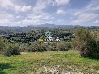 Οικόπεδο 20.000 τ.μ. για πώληση, Ν. Ρεθύμνου, Ρέθυμνο-thumb-18
