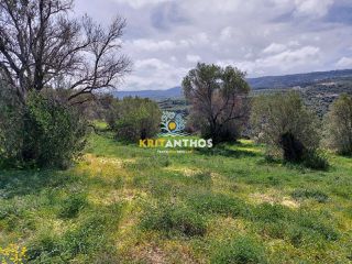 Οικόπεδο 20.000 τ.μ. για πώληση, Ν. Ρεθύμνου, Ρέθυμνο-thumb-19