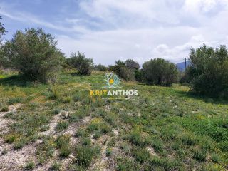 Οικόπεδο 20.000 τ.μ. για πώληση, Ν. Ρεθύμνου, Ρέθυμνο-thumb-20
