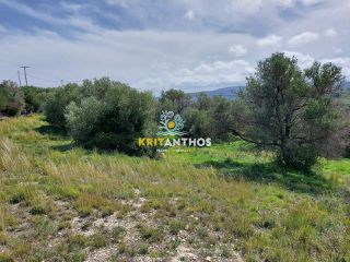Οικόπεδο 20.000 τ.μ. για πώληση, Ν. Ρεθύμνου, Ρέθυμνο-thumb-21