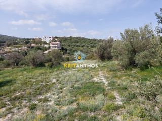 Οικόπεδο 20.000 τ.μ. για πώληση, Ν. Ρεθύμνου, Ρέθυμνο-thumb-22