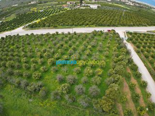 Οικόπεδο 4.160 τ.μ. για πώληση, Αργολίδα, Νέα Τίρυνθα-thumb-7