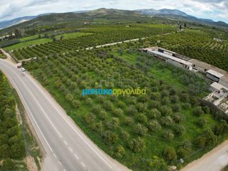 Οικόπεδο 4.160 τ.μ. για πώληση, Αργολίδα, Νέα Τίρυνθα-thumb-1