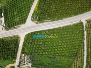 Οικόπεδο 4.160 τ.μ. για πώληση, Αργολίδα, Νέα Τίρυνθα-thumb-10