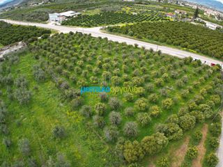 Οικόπεδο 4.160 τ.μ. για πώληση, Αργολίδα, Νέα Τίρυνθα-thumb-8
