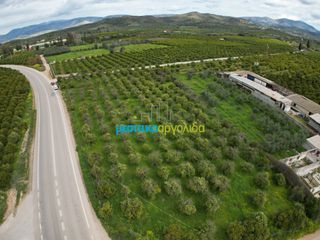 Οικόπεδο 4.160 τ.μ. για πώληση, Αργολίδα, Νέα Τίρυνθα-thumb-2