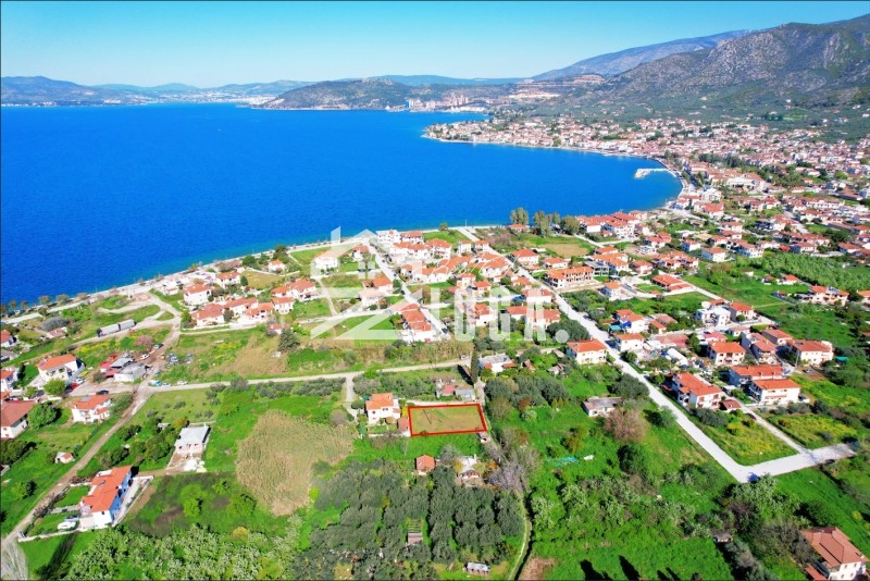 Οικόπεδο 593 τ.μ. πρός πώληση, Μαγνησία, Αγριά