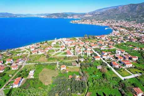 Οικόπεδο 593τ.μ. για πώληση-Αγριά » Κέντρο