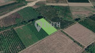 Αγροτεμάχια 3.640 τ.μ. για πώληση, Πέλλα, Σκύδρα-thumb-14