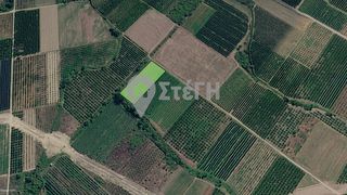 Αγροτεμάχια 3.640 τ.μ. για πώληση, Πέλλα, Σκύδρα-thumb-13