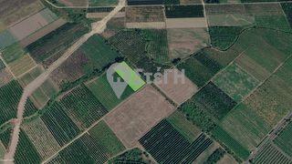 Αγροτεμάχια 3.640 τ.μ. για πώληση, Πέλλα, Σκύδρα-thumb-2