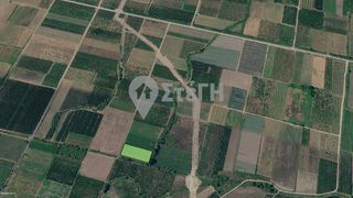 Αγροτεμάχια 3.640 τ.μ. για πώληση, Πέλλα, Σκύδρα-thumb-4