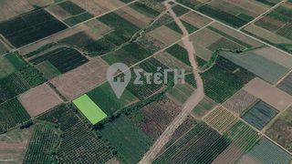 Αγροτεμάχια 3.640 τ.μ. για πώληση, Πέλλα, Σκύδρα-thumb-6
