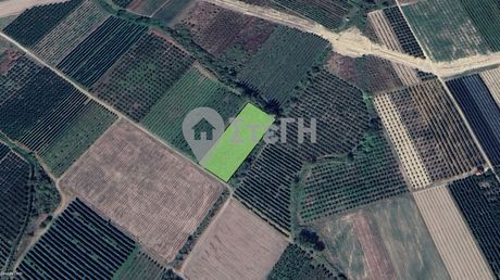 Parcel 3.640sqm for sale-Skidra » Arseni