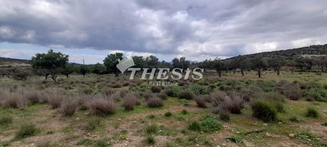 Οικόπεδο 5.800τ.μ. για πώληση-Κορωπί » Αγία μαρίνα