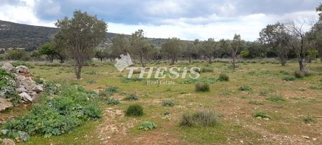 Οικόπεδο 5.800 τ.μ. για πώληση