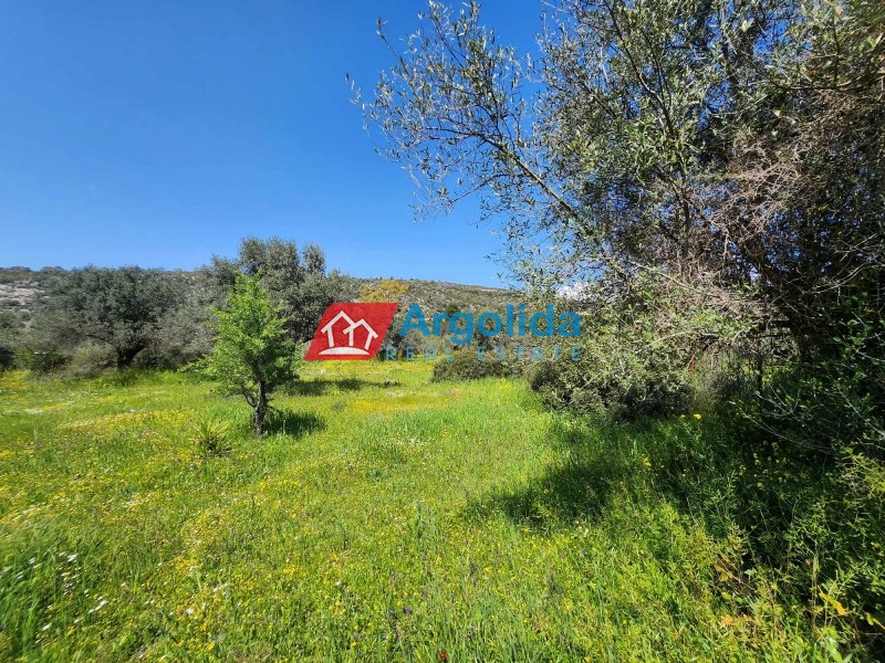 Οικόπεδο 1.305 τ.μ. προς πώληση, Κατάκαλη Σαρωνικού