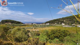 Αγροτεμάχια 1.500 τ.μ. για πώληση