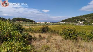 Αγροτεμάχια 1.500 τ.μ. για πώληση, Ν. Σάμου, Σάμος-thumb-1