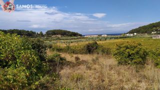 Αγροτεμάχια 1.500 τ.μ. για πώληση, Ν. Σάμου, Σάμος-thumb-2