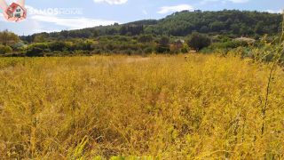 Αγροτεμάχια 1.500 τ.μ. για πώληση, Ν. Σάμου, Σάμος-thumb-4