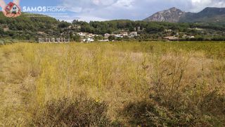 Αγροτεμάχια 1.500 τ.μ. για πώληση, Ν. Σάμου, Σάμος-thumb-5
