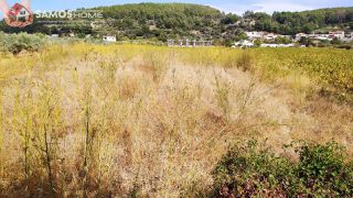 Αγροτεμάχια 1.500 τ.μ. για πώληση, Ν. Σάμου, Σάμος-thumb-6