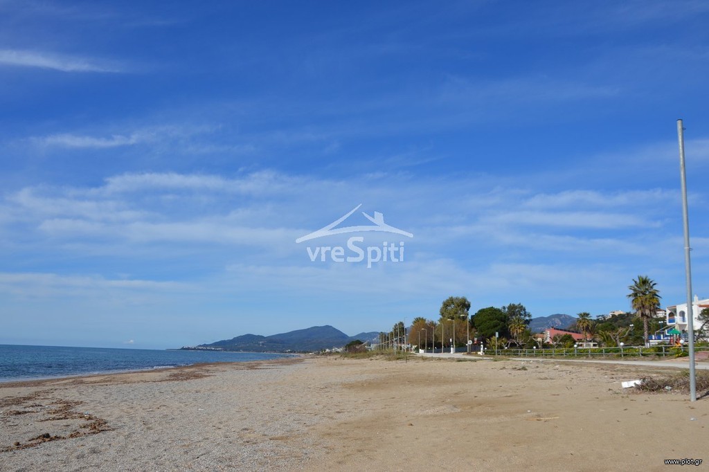 Αγροτεμάχια 12.500 τ.μ. πρός πώληση, Ν. Πρέβεζας, Ζάλογγο