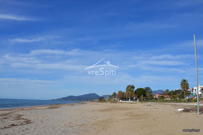 Other 12.500 sqm for sale, Preveza Prefecture, Zaloggo