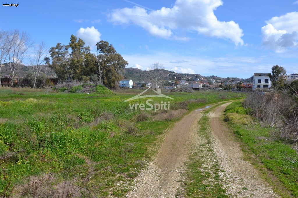 Αγροτεμάχια 12.500 τ.μ. πρός πώληση, Ν. Πρέβεζας, Ζάλογγο