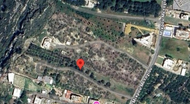 Αγροτεμάχια 2.833 τ.μ. προς πώληση, Εβλιγιάς