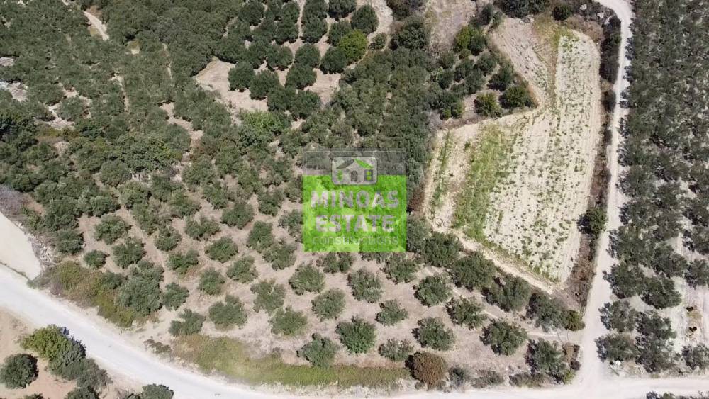 Συγκρότημα διαμερισμάτων 190 τ.μ. προς πώληση, Άγιος Αντώνιος Κισσάμου