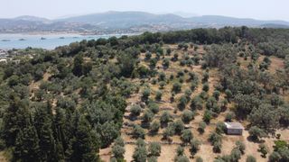 Αγροτεμάχια 9.090 τ.μ. για πώληση, Ν. Λευκάδας, Λευκάδα-thumb-6