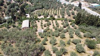 Αγροτεμάχια 9.090 τ.μ. για πώληση, Ν. Λευκάδας, Λευκάδα-thumb-10