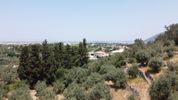 Αγροτεμάχια 9.090τ.μ. για πώληση-Λευκάδα » Ελλόμενο