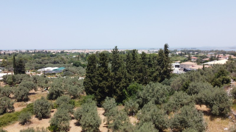 Αγροτεμάχια 9.090 τ.μ. προς πώληση, Ελλόμενο