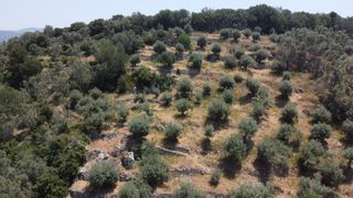 Αγροτεμάχια 9.090 τ.μ. για πώληση, Ν. Λευκάδας, Λευκάδα-thumb-3