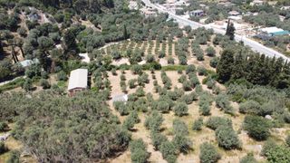 Αγροτεμάχια 9.090 τ.μ. για πώληση, Ν. Λευκάδας, Λευκάδα-thumb-4