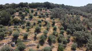 Αγροτεμάχια 9.090 τ.μ. για πώληση, Ν. Λευκάδας, Λευκάδα-thumb-2