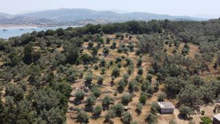 Αγροτεμάχια 9.090 τ.μ. για πώληση, Ν. Λευκάδας, Λευκάδα-thumb-5
