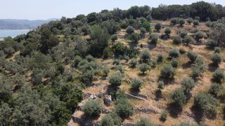 Αγροτεμάχια 9.090 τ.μ. για πώληση, Ν. Λευκάδας, Λευκάδα-thumb-7