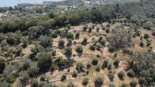 Αγροτεμάχια 9.090 τ.μ. για πώληση, Ν. Λευκάδας, Λευκάδα-thumb-9