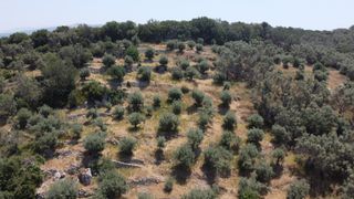 Αγροτεμάχια 9.090 τ.μ. για πώληση, Ν. Λευκάδας, Λευκάδα-thumb-8
