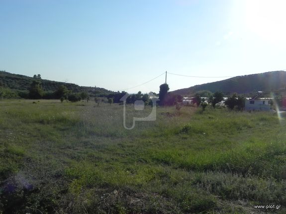 Οικόπεδο 4.600 τ.μ. για πώληση, Ν. Ηλείας, Ζαχάρω