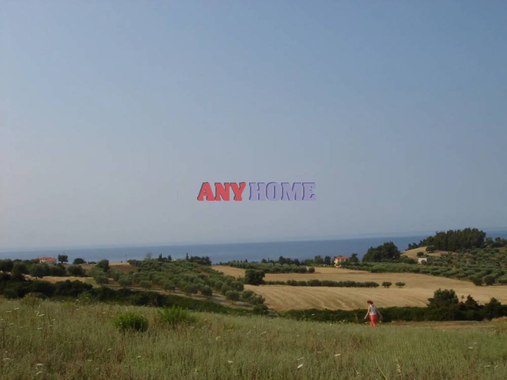 Αγροτεμάχια 4.671 τ.μ. προς πώληση, Κασσάνδρεια