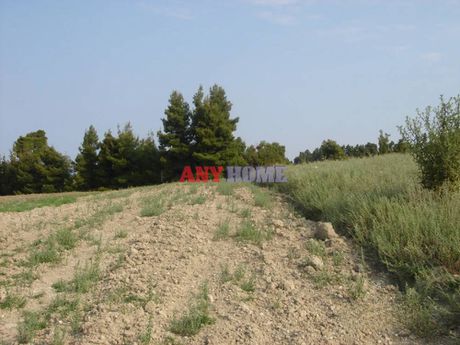 Αγροτεμάχια 4.671τ.μ. για πώληση-Κασσάνδρα » Κασσάνδρεια