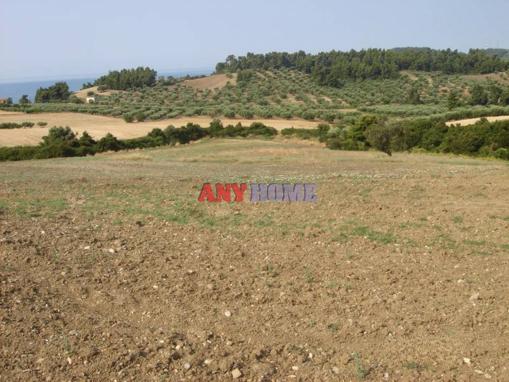 Αγροτεμάχια 4.671 τ.μ. προς πώληση, Κασσάνδρεια