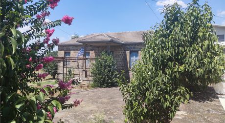 Detached home 92sqm for sale-Pamvotida